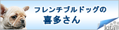 フレンチブルドッグの喜多さんバナー